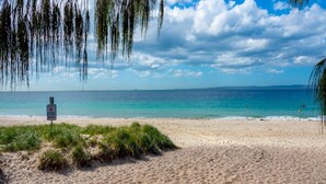 A beach with a sign indicating no dogs allowed. - Spacious Unit Overlooking Moreton Bay (WOORIM)