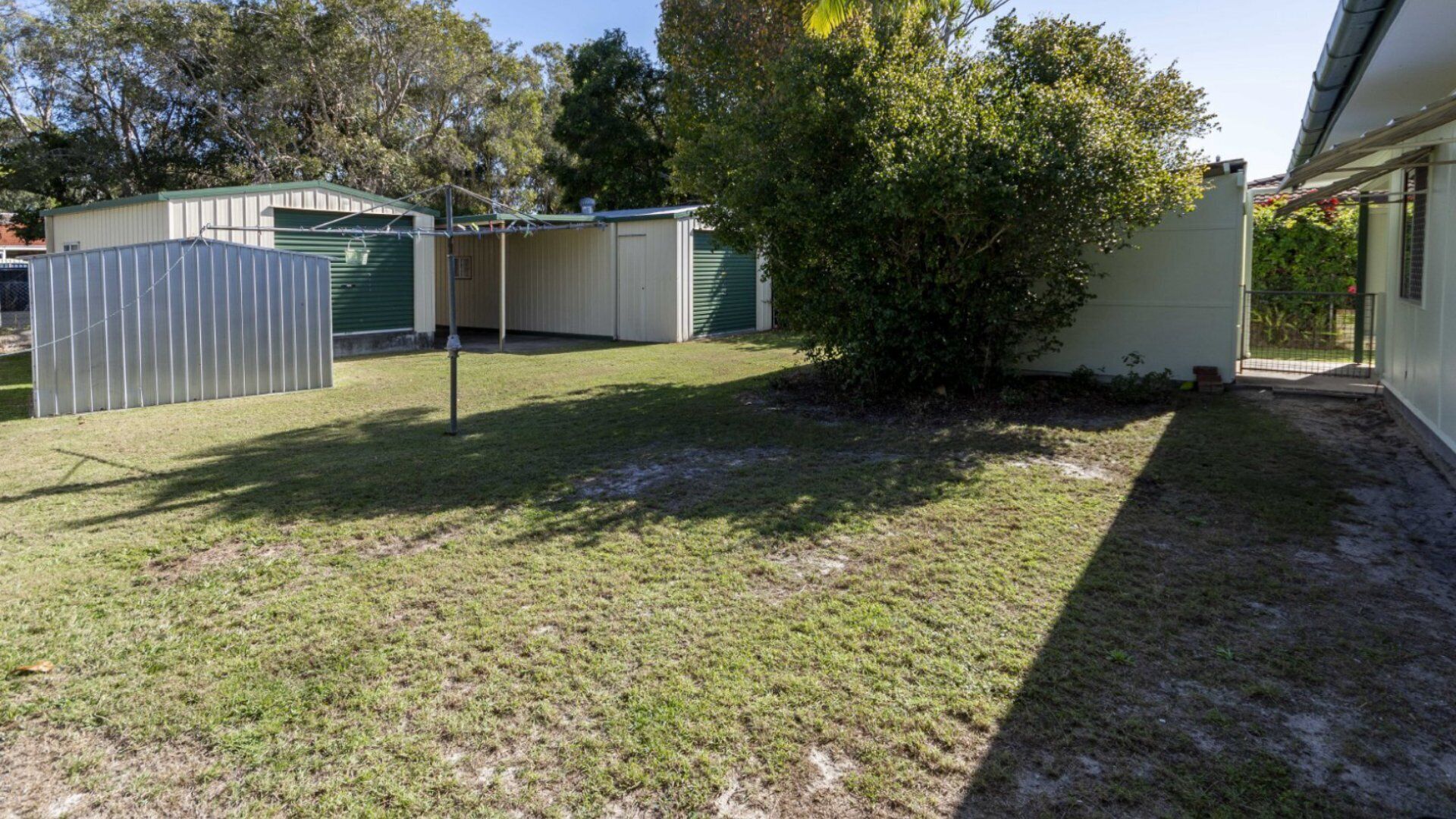 A fenced backyard with a small bush and a metal shed.