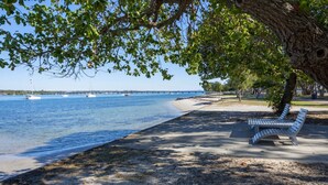 A beach with a bench and a tree providing shade. - Lowset Pet Friendly Home (BONGAREE)