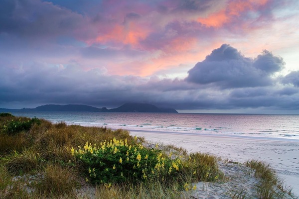 Nær stranden, solsenger og strandhåndklær