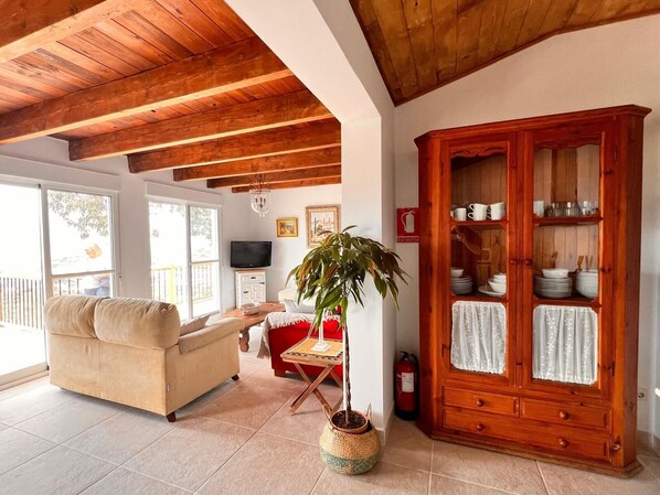 Televisión, chimenea, tenis de mesa y libros 