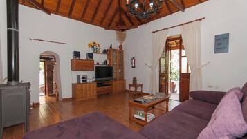 Televisión, chimenea