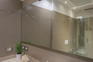 Shower, hair dryer, bidet, towels