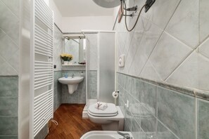 Shower, hair dryer, bidet, towels