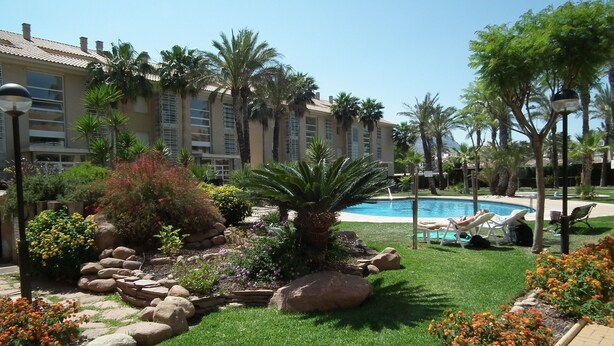 A hotel courtyard with a swimming pool, palm trees, and a well-maintained garden with various plants and flowers.