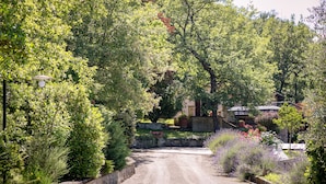 A gravel driveway leading to a house surrounded by lush greenery and flowering plants. - Two-storey villa with large private pool and beautiful landscaped garden (Castiglion Fiorentino)
