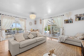 Télévision, cheminée, lecteur de DVD, livres