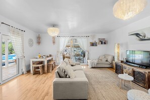 Télévision, cheminée, lecteur de DVD, livres