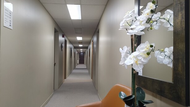 Un pasillo de hotel con una larga extensión, un mostrador de recepción con una silla y una orquídea en maceta.