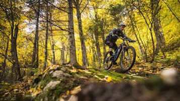 Una persona pedalea en bicicleta de montaña por un área boscosa con follaje otoñal.