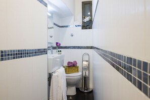 Shower, hair dryer, bidet, towels