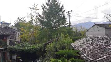 View from room
