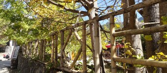 Tengchong Ginkgo Village Bencai Hotel