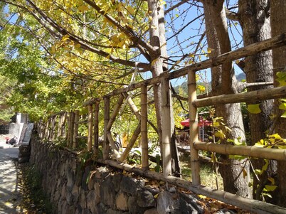 Tengchong Ginkgo Village Bencai Hotel