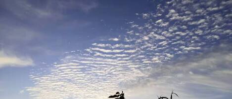 A city skyline with buildings silhouetted against a sky with scattered clouds.