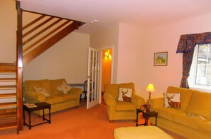 Een televisie, een open haard, een dvd-speler en boeken