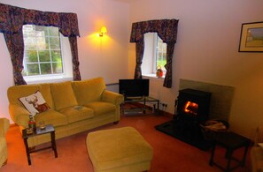 Fernseher, Kamin, DVD-Player, Bücher