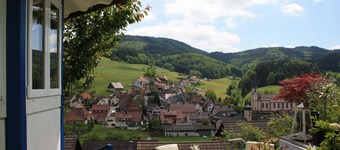 Exclusive **** apartment in the Black Forest near Europa-Park, pool with panoramic view