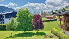 A residential area with a modern house, a traditional wooden structure, and a large tree with green and red leaves.