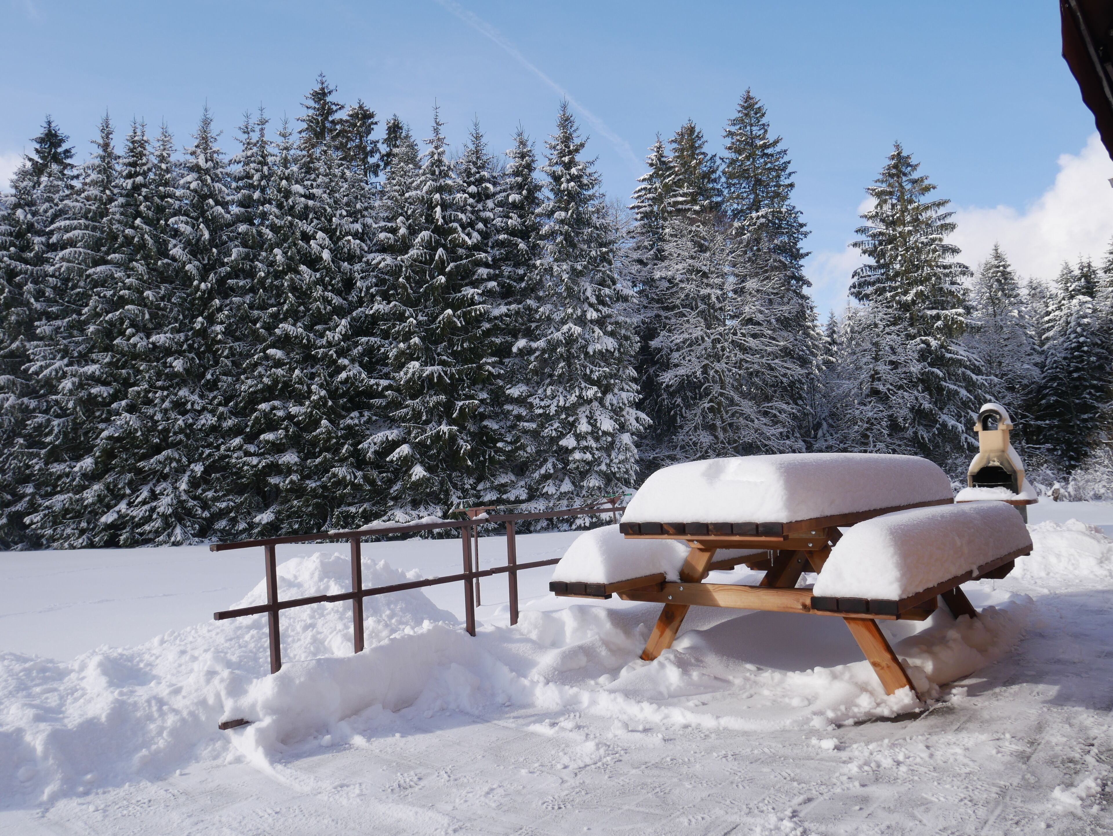Une table de pique-nique recouverte de neige, dans une forêt enneigée.