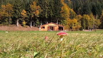 Terrain de l’hébergement 