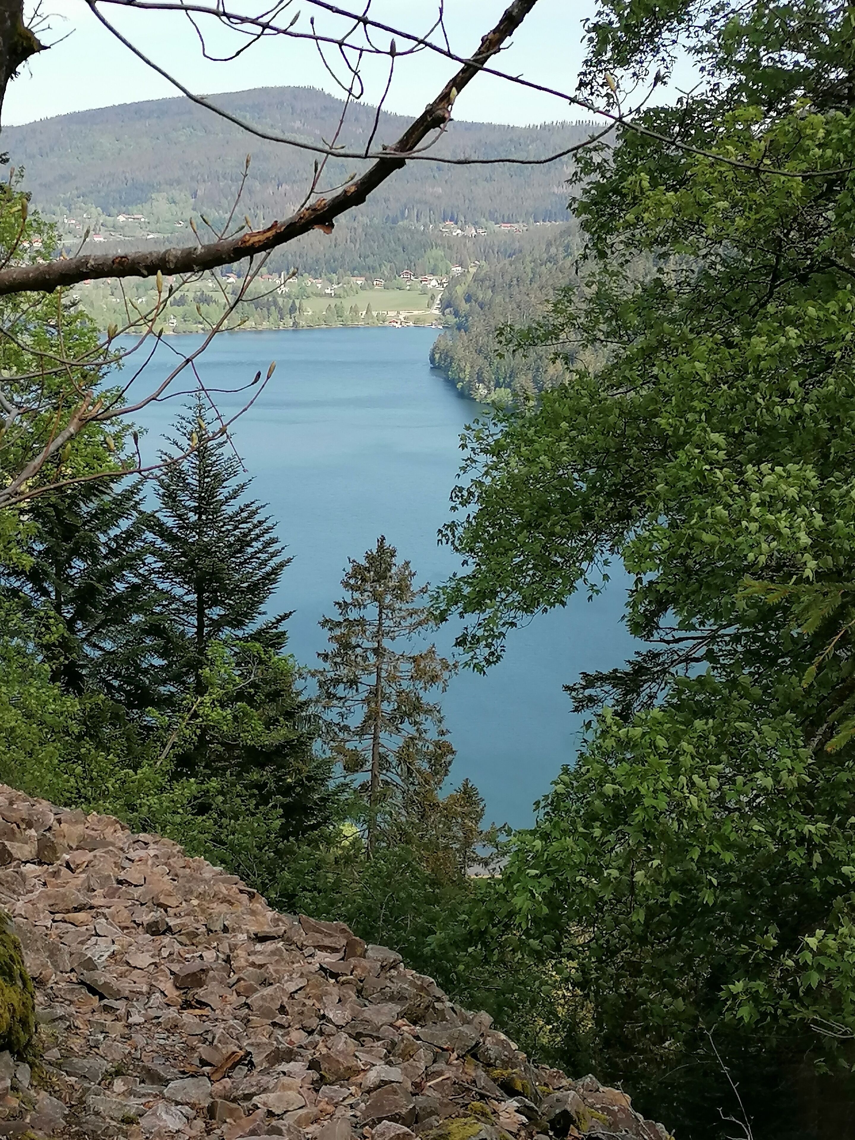 Un lac entouré d’une forêt dense et de collines.