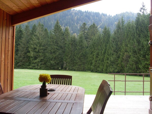 Outdoor dining - Chalet on the shores of Lac de Longemer on a hectare of multi-activity playground (Xonrupt-Longemer)