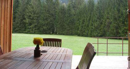 Yhden kerroksen mökki järven reunalla 1 hehtaarin alueella, jossa on sauna