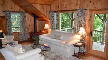 Smart TV, DVD player, books, video library