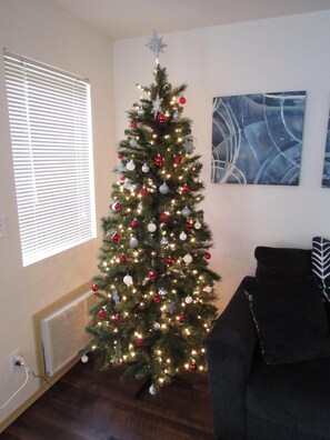 Smart TV, fireplace, DVD player