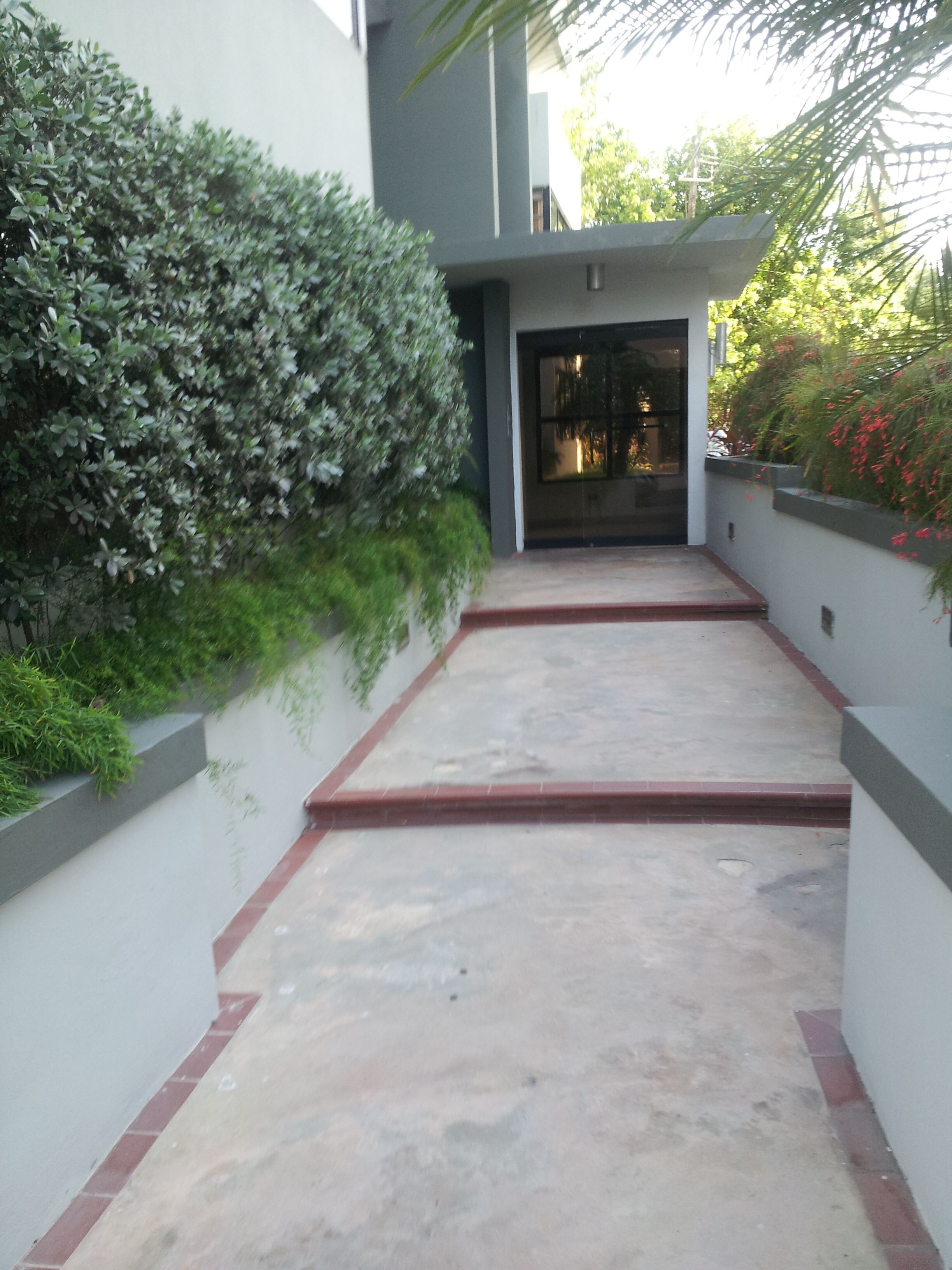 A concrete pathway leading to a building entrance, flanked by low walls and greenery.