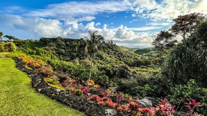 Un jardin luxuriant, avec une grande variété de plantes, sous un ciel bleu azur.