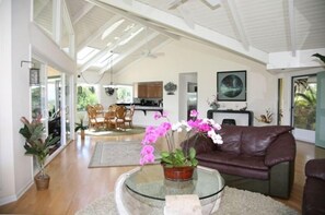 Smart TV, Netflix, books, streaming services