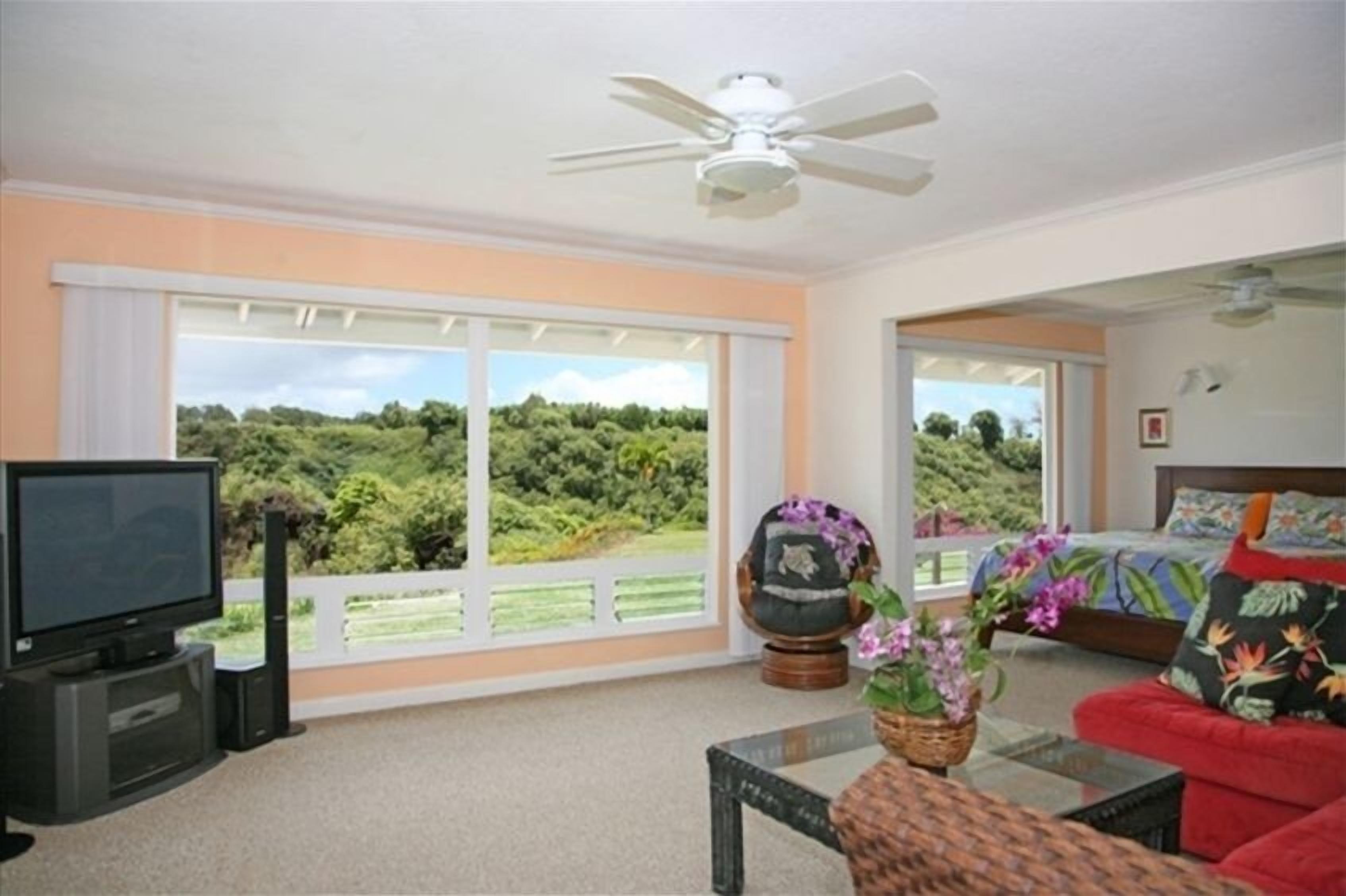 A spacious living room with a large window, a ceiling fan, a television, a sofa, and a bed with a colorful bedspread.