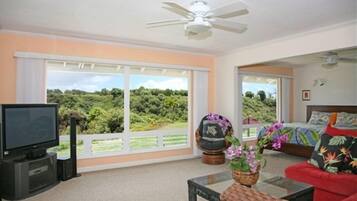 A spacious living room with a large window, a ceiling fan, a television, a sofa, and a bed with a colorful bedspread.