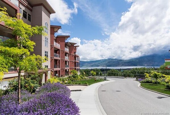 Property grounds - Amazing Amenities, Amazing Experiences in West Kelowna!  Pools and more! (West Kelowna)