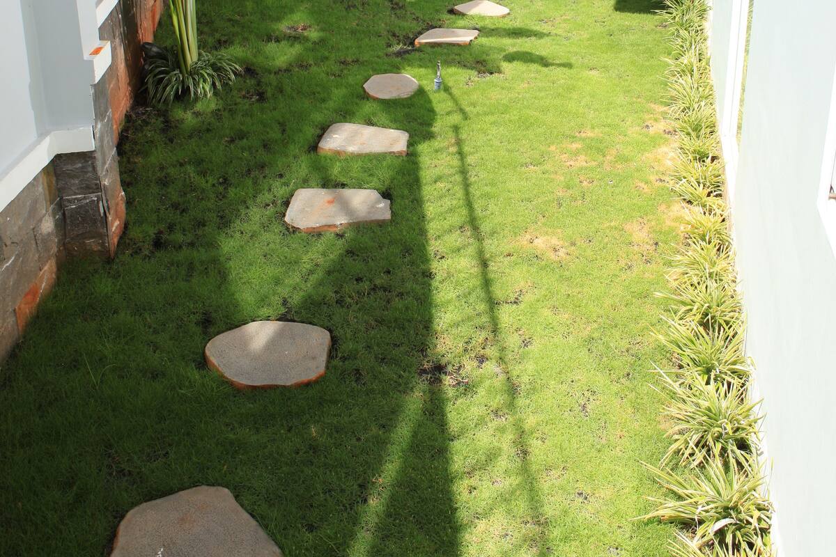 Ein schmaler Pfad mit trittfesten Steinen führt durch einen gepflegten Garten, begrenzt von weißen Mauern und verschiedenen Pflanzen.