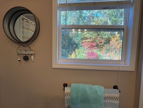 A bathroom with a window, a mirror, and a towel rack.