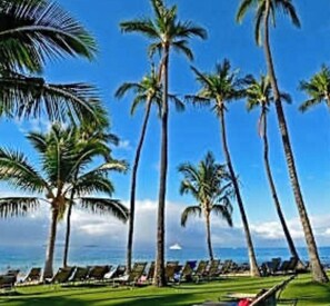Un complejo turístico frente a la playa con palmeras, tumbonas y vista al océano.