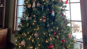 Un árbol de Navidad adornado con adornos y luces, ubicado en una habitación con ventanas grandes y muebles de madera.