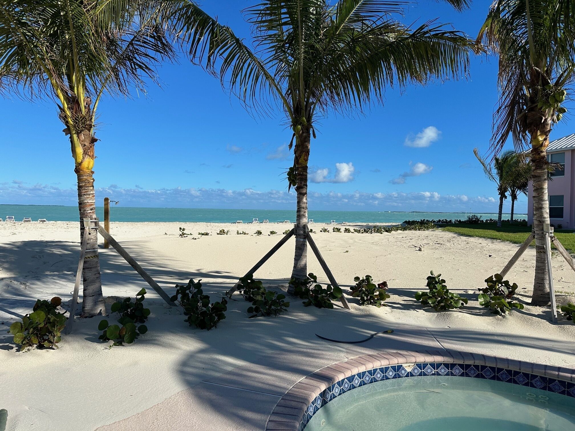 Une vue sur la plage, avec des palmiers, une piscine et un ciel dégagé.
