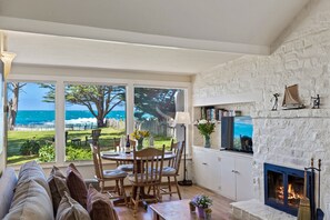 Smart TV, chimenea, reproductor de DVD y libros