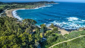 Vista aérea de una zona costera con playa arenosa, denso bosque verde y océano azul cristalino.