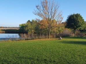 Un camp verdós amb un llac i arbres al fons.