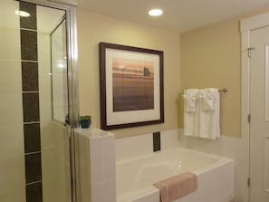 Bathtub, hair dryer, towels, soap