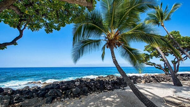 A beach with a rocky shoreline, palm trees, and a clear blue sky. - 🏖️Desirable Ground Floor Unit | AC & WIFI | Concierge Included (Kailua Kona)
