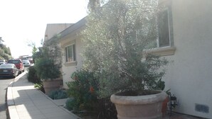 A residential street with a sidewalk, parked cars, and potted plants along the curb. - ***Romantic View Home Centrally Located in Windsor Hills, La Mesa*** (La Mesa)