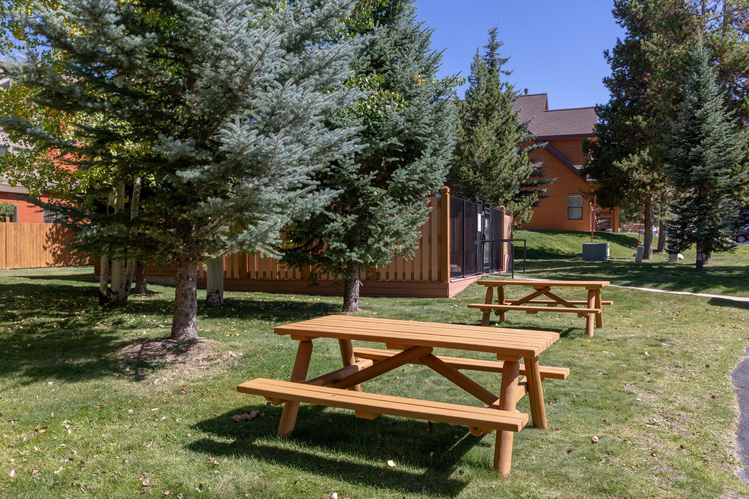 A picnic area with wooden tables and benches, surrounded by trees and a building in the background.