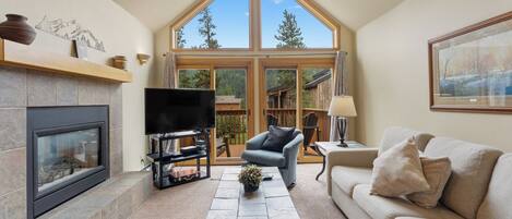 Télévision, cheminée, lecteur de DVD