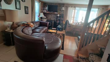 TV connectée, cheminée, lecteur de DVD, livres